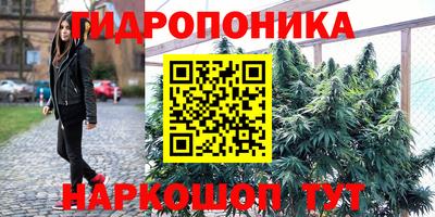 кокс Берёзовский