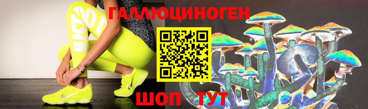 Кемерово  Галлюциногенные грибы Magic Shrooms  Вход с VPN 